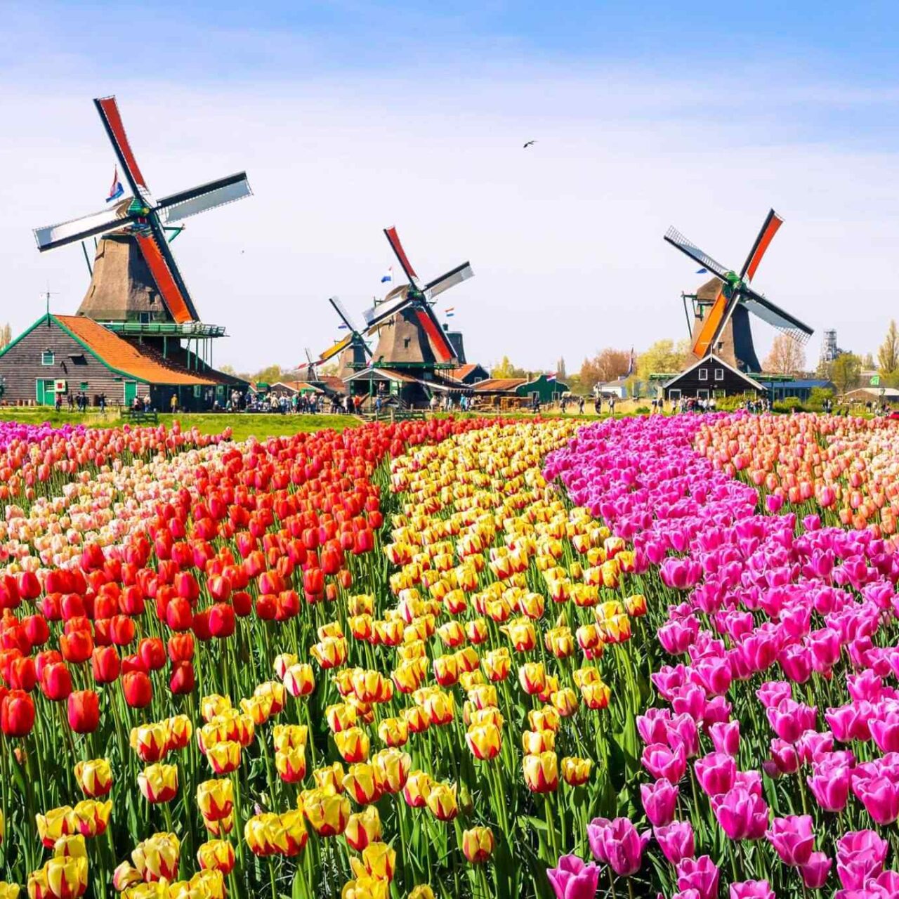 https://misr-travel.com/wp-content/uploads/2018/09/destination-netherlands-01-1280x1280.jpg