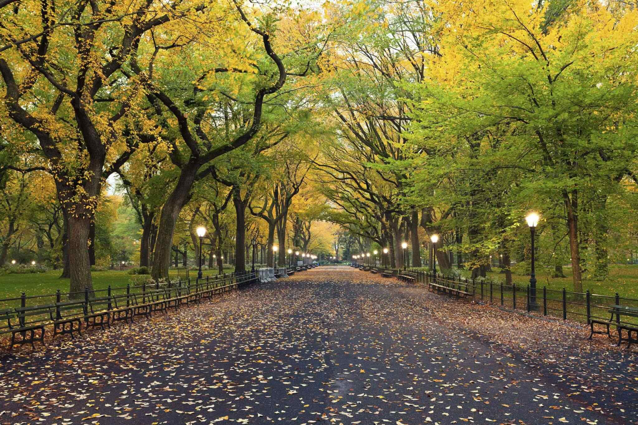 destination-new-york-02 https://misr-travel.com/wp-content/uploads/2018/09/destination-new-york-02.jpg