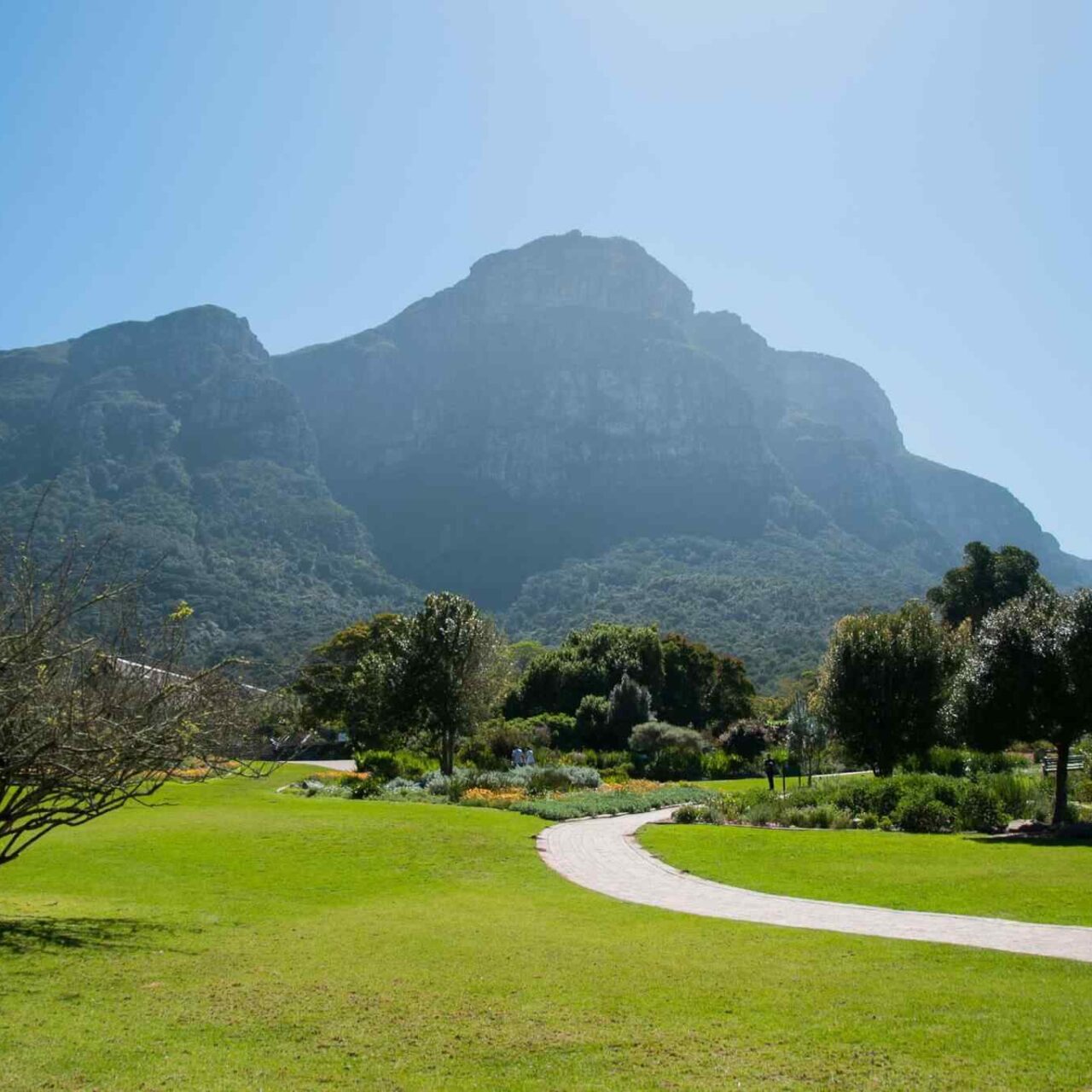 https://misr-travel.com/wp-content/uploads/2018/09/tour-capetown-03-1280x1280.jpg