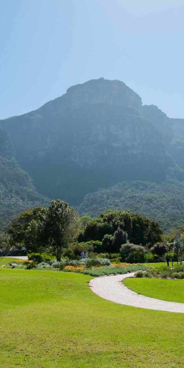 https://misr-travel.com/wp-content/uploads/2018/09/tour-capetown-03-640x1280.jpg