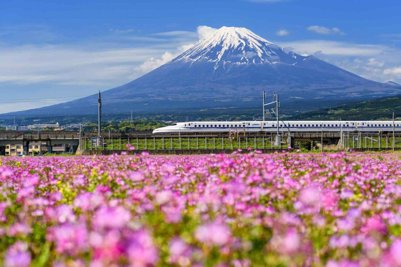tour-osaka-04 https://misr-travel.com/wp-content/uploads/2018/09/tour-osaka-04-1280x854.jpg