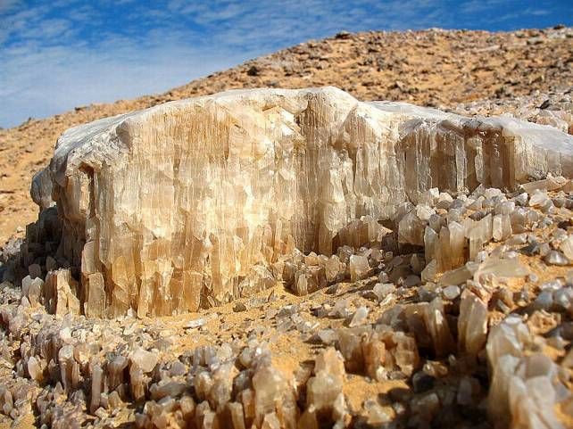 Tour Oasis and White Desert